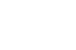 selling icon